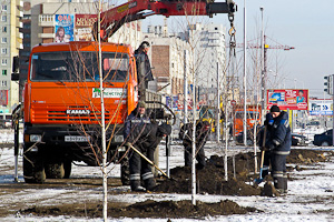 В Омске высажено около 40 тысяч деревьев и кустарников