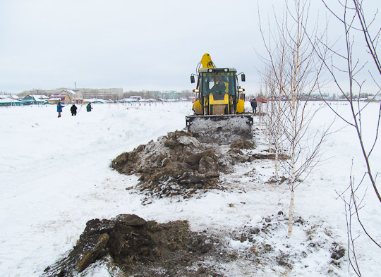 Зимняя высадка благоприятна для деревьев