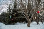 Многие деревья украшены шарами, даже если они не совсем новогодние