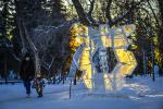 Выставочный сквер встречает фигурой «Снежинка и стрекоза»: здесь царит природа