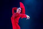 В 2010 году ЮНЕСКО объявила фламенко нематериальным культурным наследием