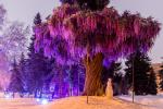 Зимующее в Выставочном сквере Древо жизни — вполне новогодний арт-объект