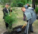 Андрей Рославицкий рассказал, что в Брянске тоже существует подобная аллея