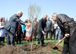 Посадка деревьев с участием национально-культурных объединений и автономий на аллее Дружбы народов накануне Дня Победы