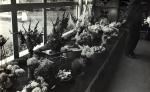 Цветы и плоды приносили все желающие принять участие в выставке горожане, а композиции из них составляли профессиональные флористы. 1976