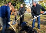 Мэр города Омска Виктор Шрейдер принял участие в посадке деревьев