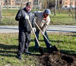 Дерево, посаженное с душой, хорошо приживется