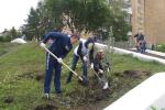 В реконструкции Кадетского сквера приняла участие молодёжь из организации «Омск — чистый город»