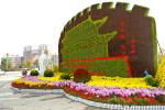 Фестиваль хризантем в Кайфэне напоминает омскую «Флору»
