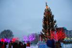 Главную ёлку города видно издалека