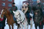 Так здорово прокатиться на лошадях! Двор дома № 59 по улице Нахимова. КТОС «Молодёжный»