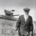 Сто первая жатва. 1980-е