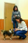 По первому же требованию собака-терапевт охото поделится игрушкой