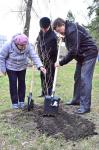 В акции «Вырасти своё дерево» приняли участие мэр Омска Вячеслав Двораковский и спикер горсовета Галина Горст