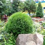 Сибирская осень располагает к философским размышлениям (автогенный завод)