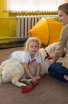 Канистерапия предполагает тесный тактильный и эмоциональный контакт ребенка с собакой