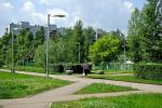 Площадь зеленых насаждений в Омске на начало 2015 года составляет более 13000 га
