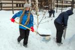 А к фигурам побольше снег все еще доставляли лопатами