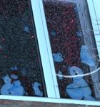 Милые зверята КТОСа «Кировец-3»