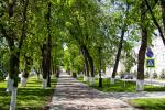 Километровая аллея с деревьями разных поколений связывает парк с садом Салавата Юлаева