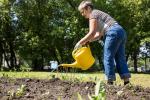 Три тысячи единиц рассады бесплатно предоставила агрофирма «Добрый садовник»