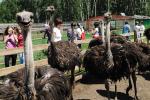 Экскурсия на страусиную ферму