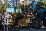 В прибрежной почве много песка, поэтому с собой привезли чернозем