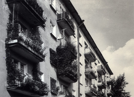 Балконы домов омичи украшают цветами и вьющимися растениями. Проспект Культуры, 1. 1980-е