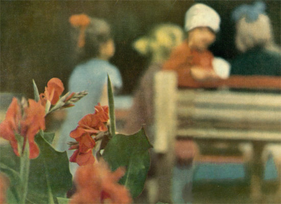 Цветы в городе. Фото Дмитрия Ухтомского. 1960-е