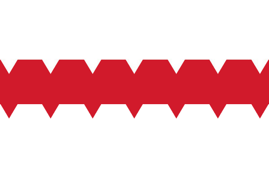 Флаг Омска, 2014