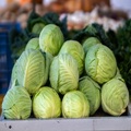 Web Content Image