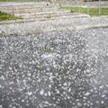 Web Content Image