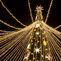 Портал администрации города Омска. Миниатюра новости.