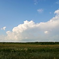 Web Content Image