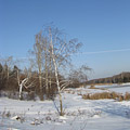 Web Content Image
