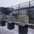 Web Content Image