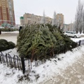 Портал администрации города Омска. Миниатюра новости.