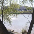Web Content Image