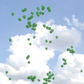 Web Content Image