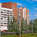 Web Content Image