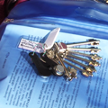 Web Content Image