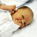 Web Content Image