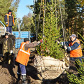 Портал администрации города Омска. Миниатюра новости.