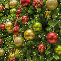 Web Content Image
